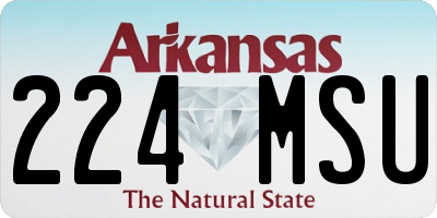 AR license plate 224MSU