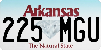 AR license plate 225MGU