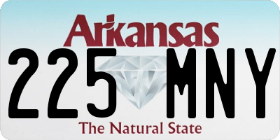 AR license plate 225MNY