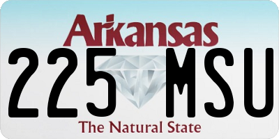 AR license plate 225MSU