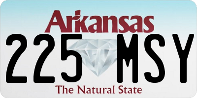 AR license plate 225MSY