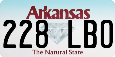 AR license plate 228LBO