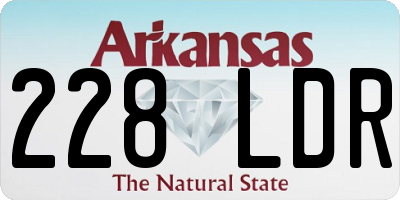 AR license plate 228LDR