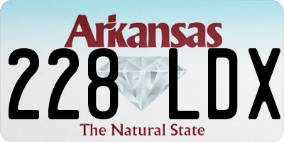 AR license plate 228LDX