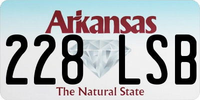 AR license plate 228LSB