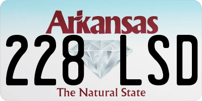 AR license plate 228LSD