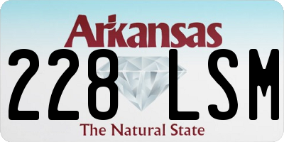 AR license plate 228LSM