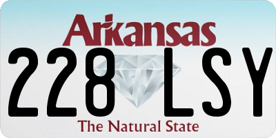 AR license plate 228LSY