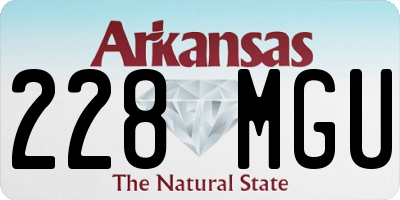 AR license plate 228MGU