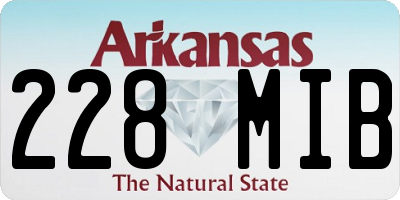 AR license plate 228MIB