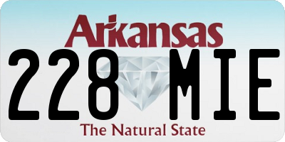 AR license plate 228MIE