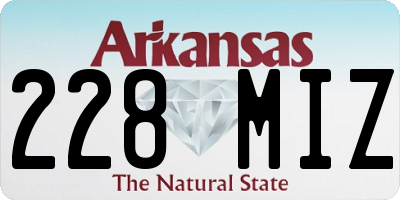 AR license plate 228MIZ