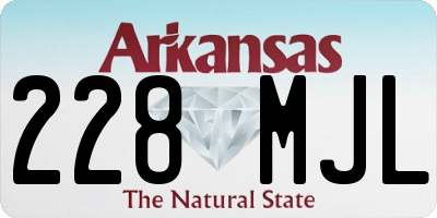 AR license plate 228MJL