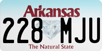 AR license plate 228MJU