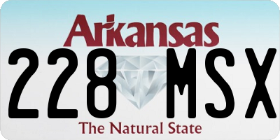AR license plate 228MSX