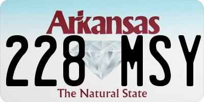 AR license plate 228MSY
