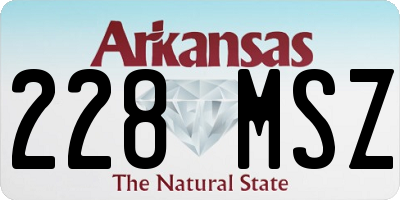 AR license plate 228MSZ