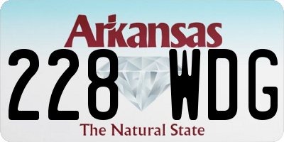 AR license plate 228WDG
