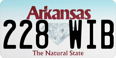 AR license plate 228WIB