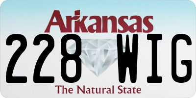 AR license plate 228WIG