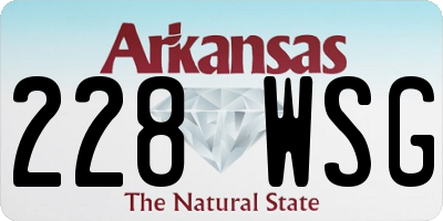 AR license plate 228WSG