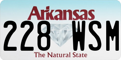 AR license plate 228WSM