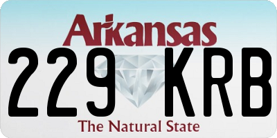 AR license plate 229KRB