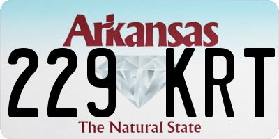 AR license plate 229KRT