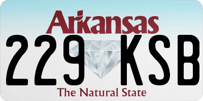 AR license plate 229KSB
