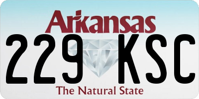 AR license plate 229KSC