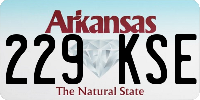 AR license plate 229KSE