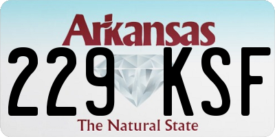 AR license plate 229KSF