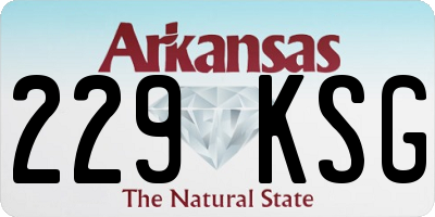 AR license plate 229KSG