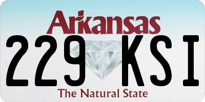 AR license plate 229KSI