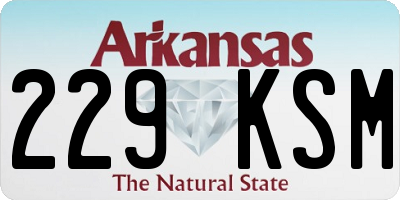 AR license plate 229KSM