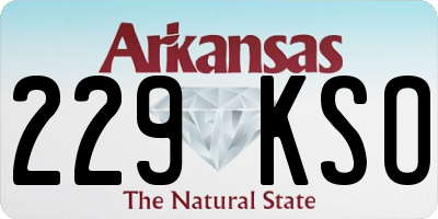 AR license plate 229KSO