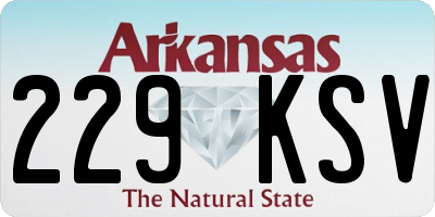 AR license plate 229KSV