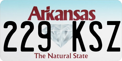 AR license plate 229KSZ