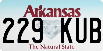 AR license plate 229KUB
