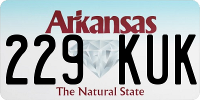 AR license plate 229KUK