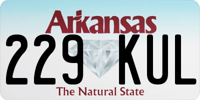 AR license plate 229KUL
