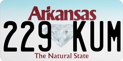 AR license plate 229KUM