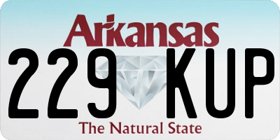 AR license plate 229KUP