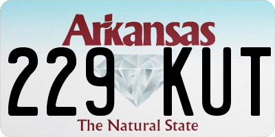 AR license plate 229KUT