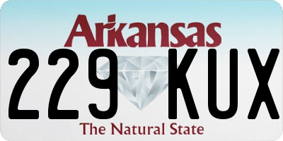 AR license plate 229KUX