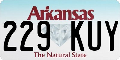 AR license plate 229KUY