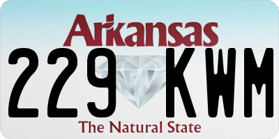 AR license plate 229KWM