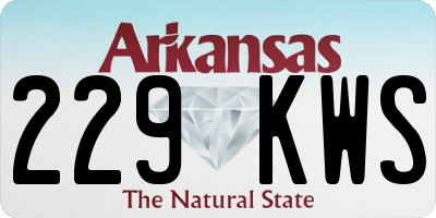 AR license plate 229KWS
