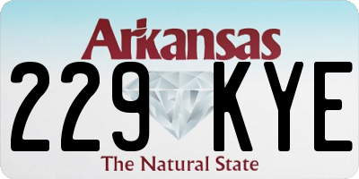 AR license plate 229KYE