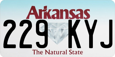 AR license plate 229KYJ